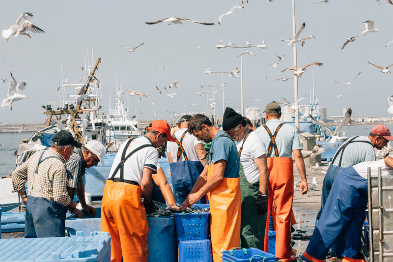 Pescadores_Pinhais
