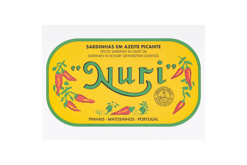 Cartaz NURI - Invólucro