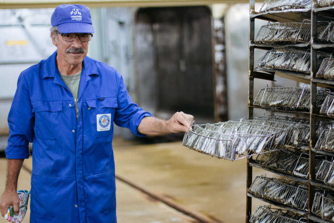 The traditional method of fish preserves at Pinhais & Cª Lda